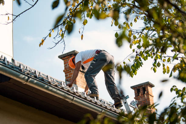 Residential Roof Replacement in Fuller Heights, FL